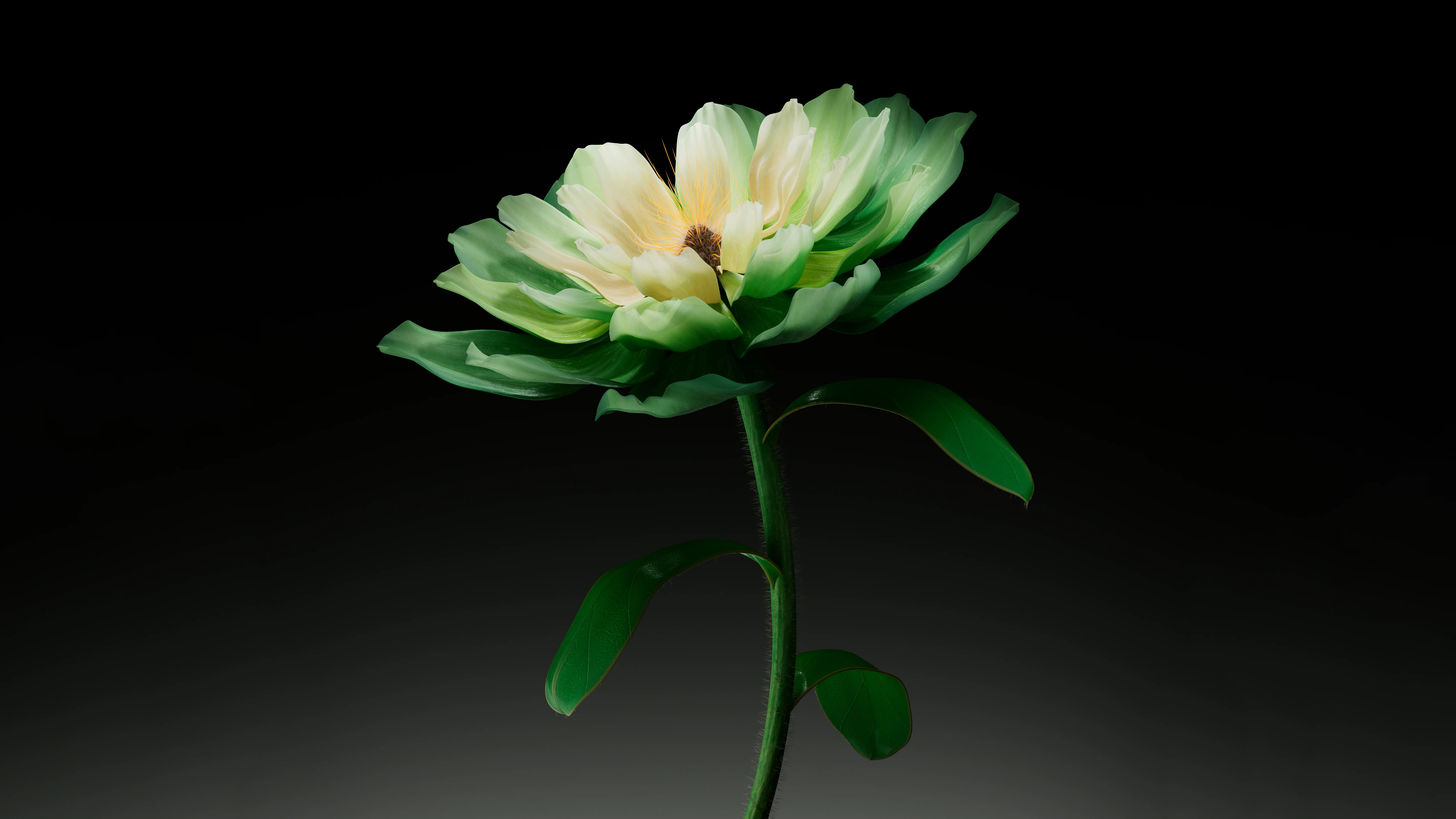green-flower-dark-7680x4320-14409.webp