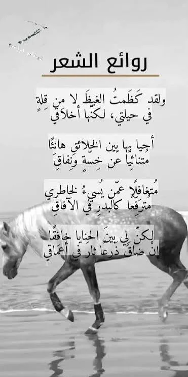 images (3).webp