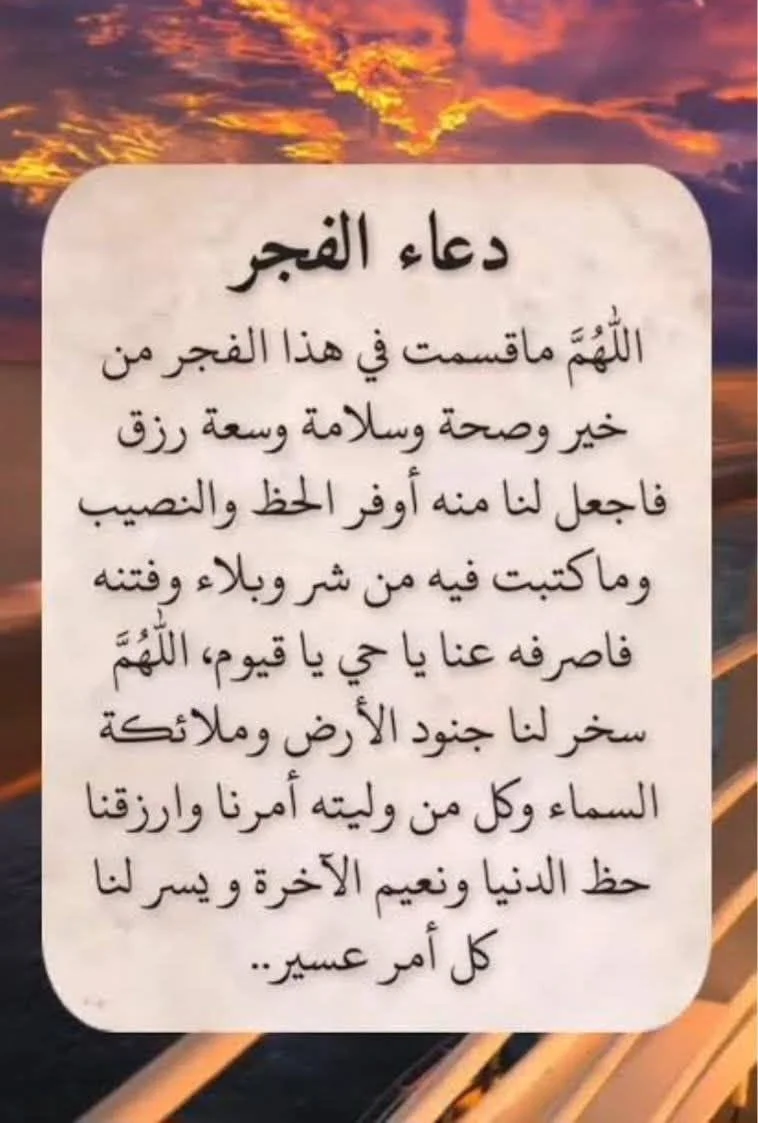 1787165662819.webp