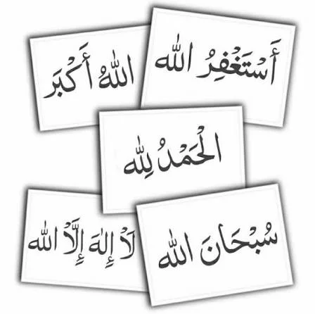 1787223158835.webp