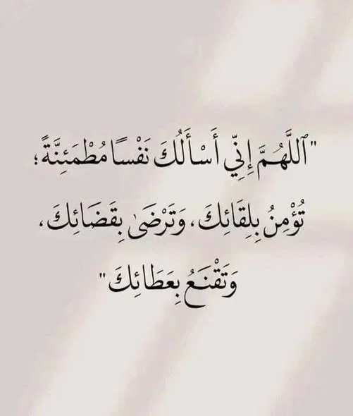 1787229192161.webp