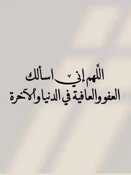 1787229209017.webp