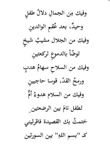 images.webp