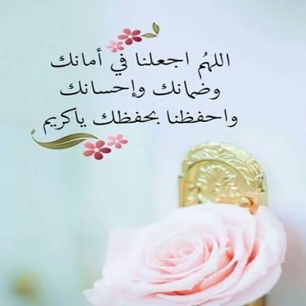 1787245920162.webp