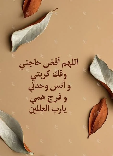 1787245950676.webp