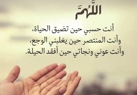 1787245979698.webp
