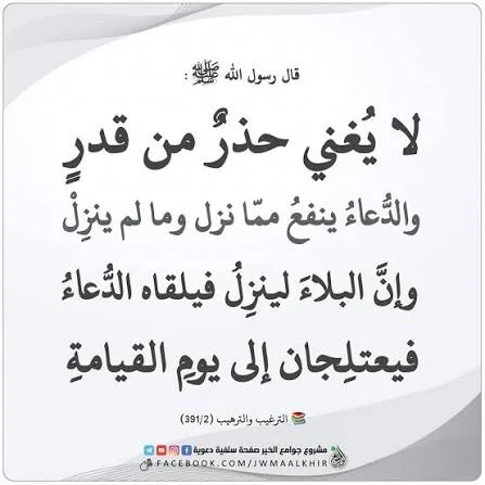 1787259209897.webp