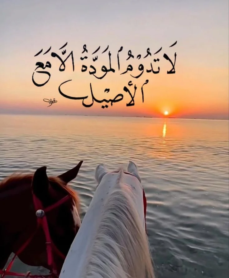 80e1f9d716748eca0384712b7e50ab73.webp