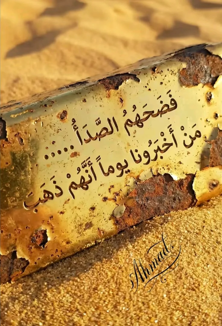 31f908a9f9763a7ff02e152960287b19.webp
