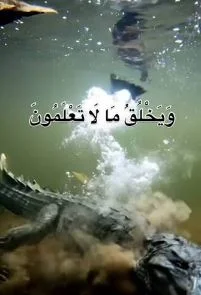 Capture.webp