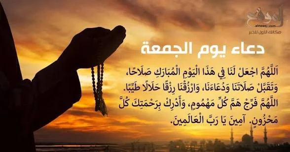 1787307270513.webp
