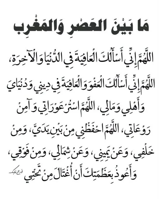 1787344233483.webp