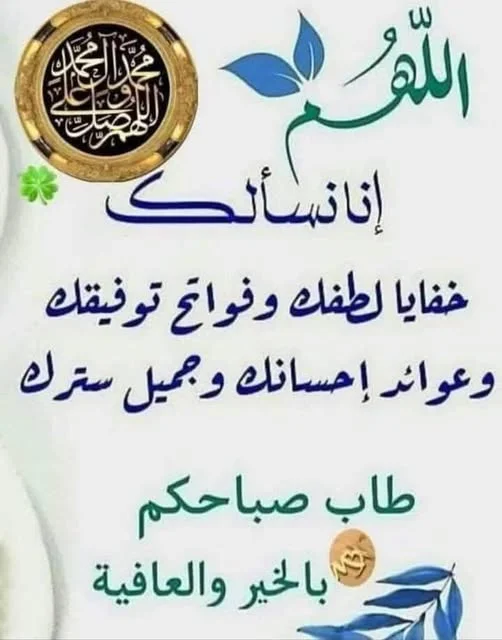 1787490845970.webp