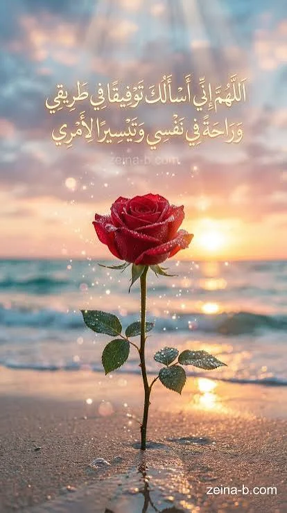 1787684100135.webp