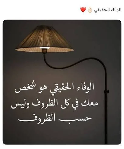 1787771065066.webp