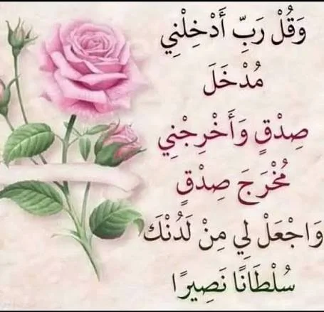 1787773169462.webp