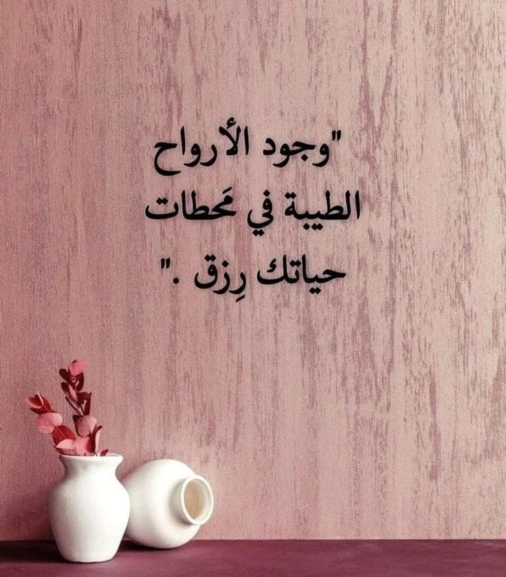 f900312a05d7b658ad0eac44ab387995.webp