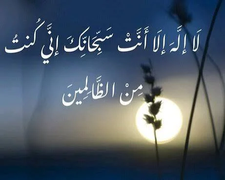 1787854544750.webp