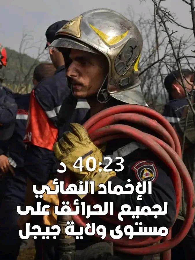 5145.webp
