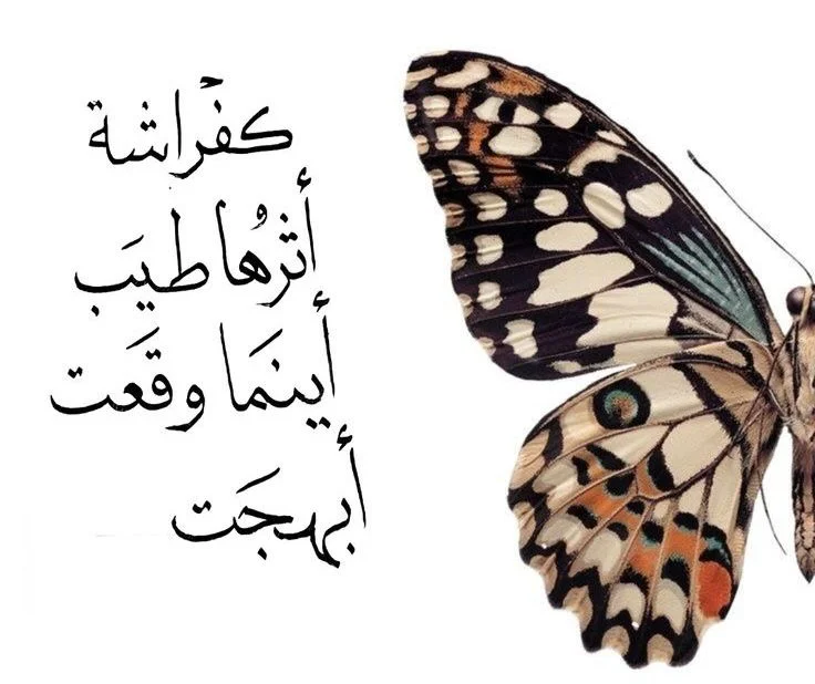 c41a7c025a95e98ffab841d355338c45.webp