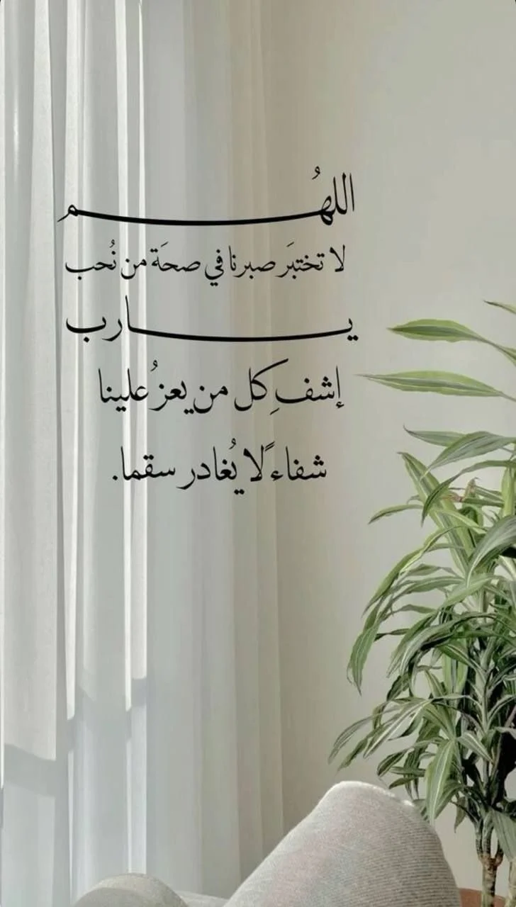 07b4dd6163da2aeaefacb8956dae0fa2.webp