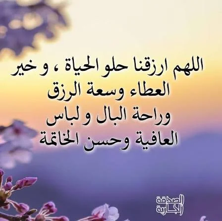 1788355284953.webp