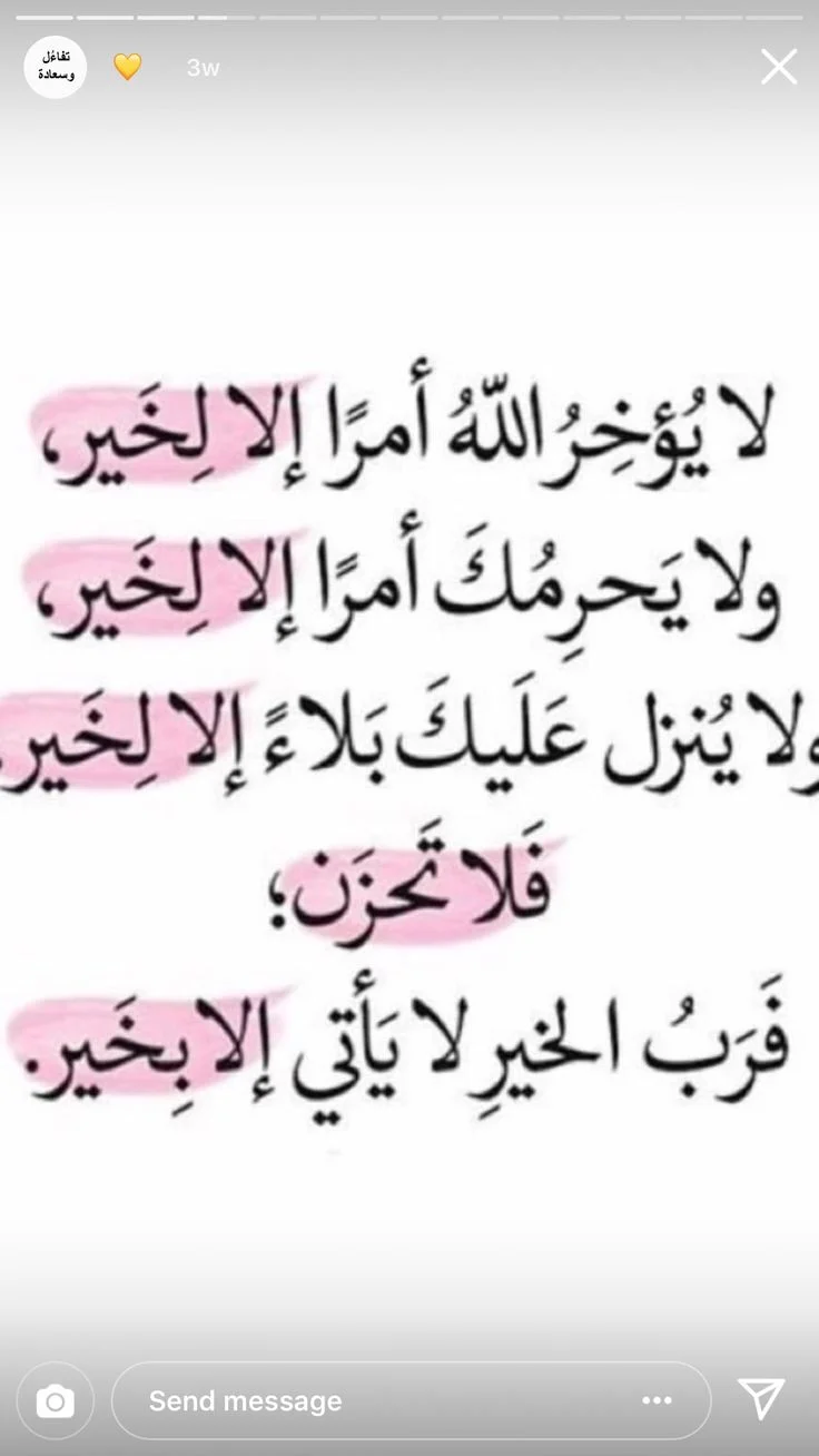 ec03efb8c410e1dacb0d2b605a5e8303.webp