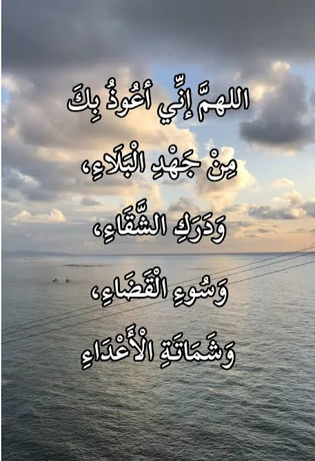 1788689879019.webp