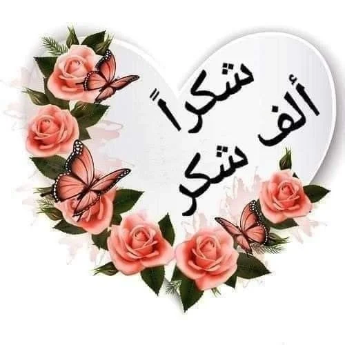 2b14f6cdbeb3f1dc1e117465b12853ca.webp