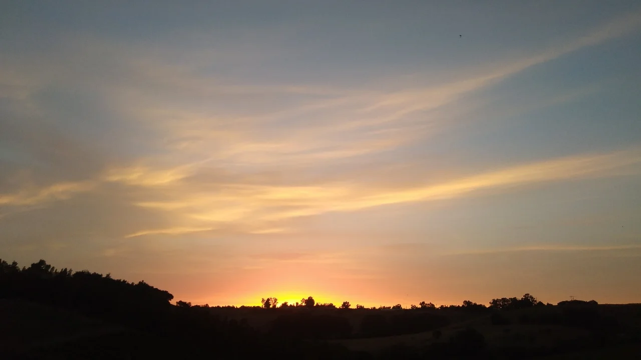 IMG-2c4667c59dde722884217a97244e5f40-V.webp