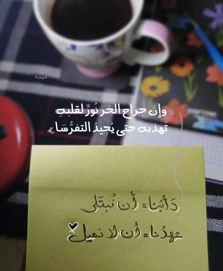 c3bc6361b147059b215c8d005e1c44c3.webp