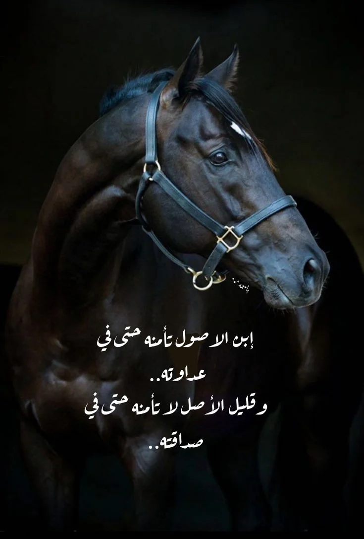 68829a4dd3a5c450b2530e78bf902901.webp