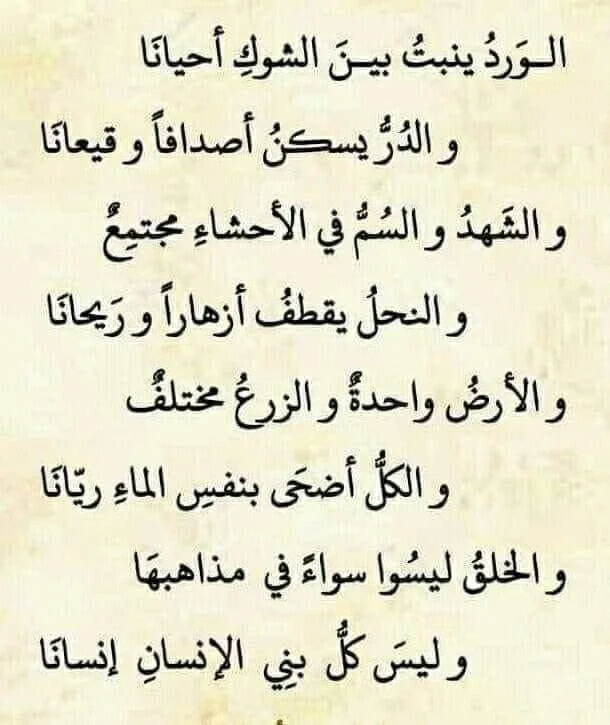 407c8bb89e50085923cee5587a6a4906.webp