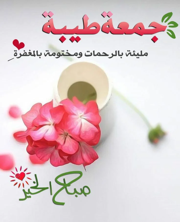 52c52dd93427167efc38a86278b8ac1e.webp