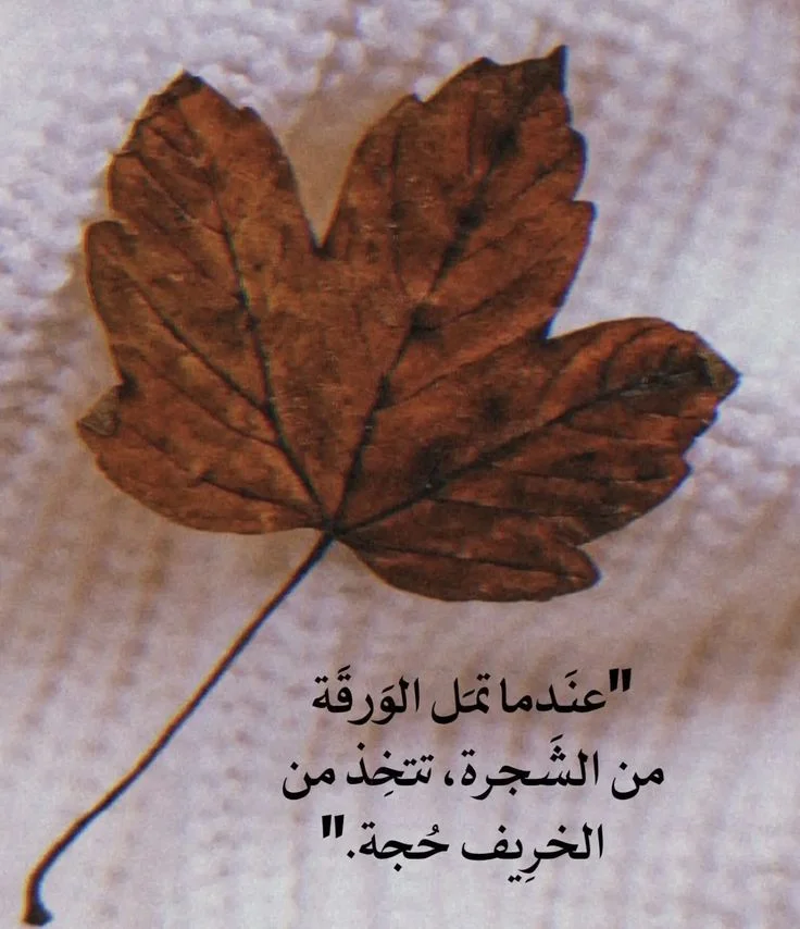 07b25bcc4b80d14efd1467d20555ff4a.webp