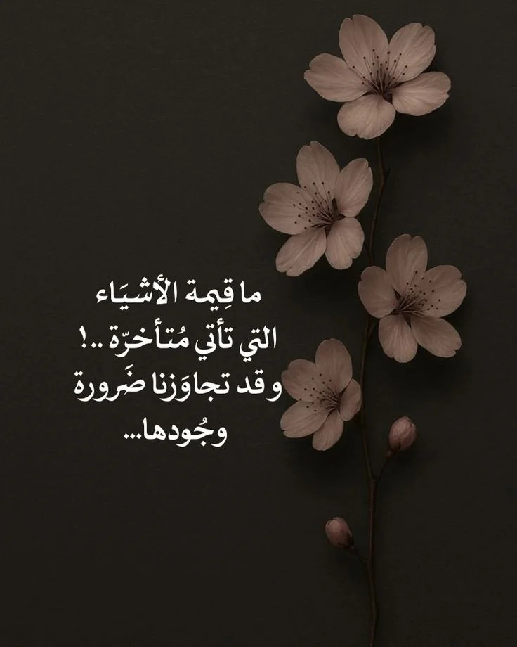 9ea4c112a656cb4884a8ff541991aa00.webp