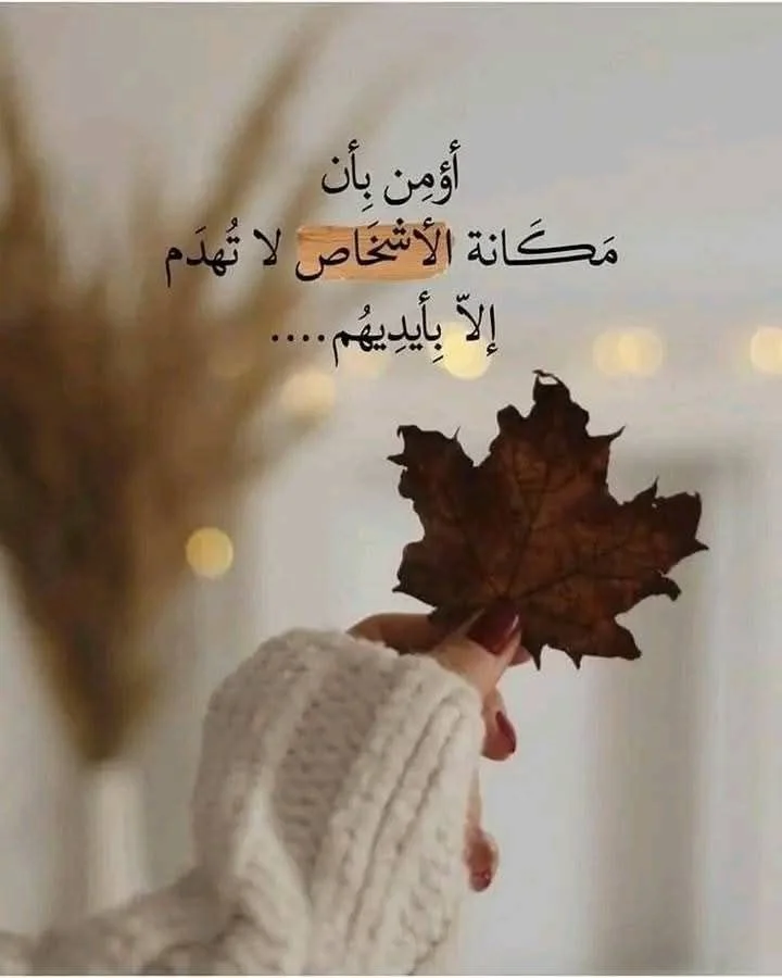 a0de2cf962ad323e8361586fe5ae62af.webp