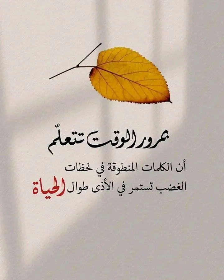 221a4c07aca3a87b142cd19e847a1d00.webp