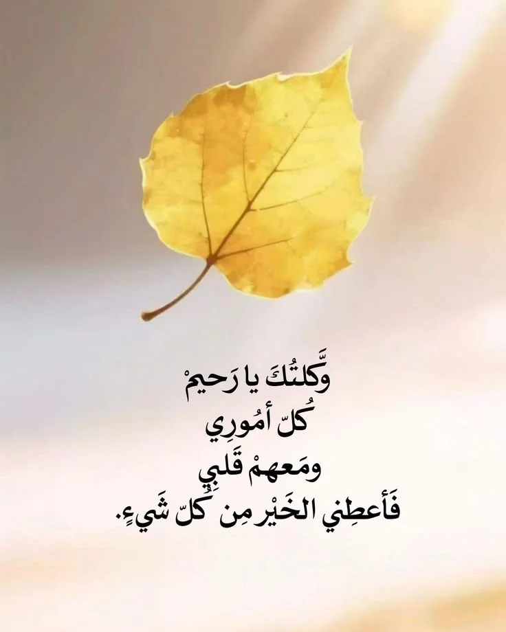 257279a04a749548e7ca7e27922041d1.webp