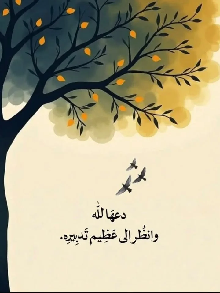 6aa9cb43e134075af1ff3dca7229cf40.webp