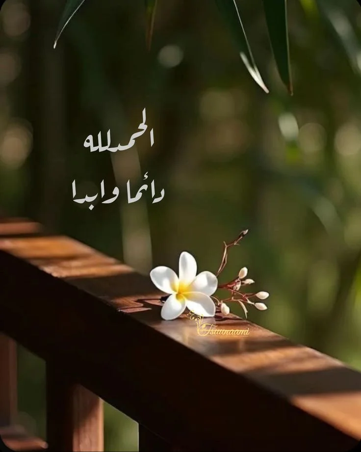4b7ec0973492e5ad675312c5f94b5947.webp