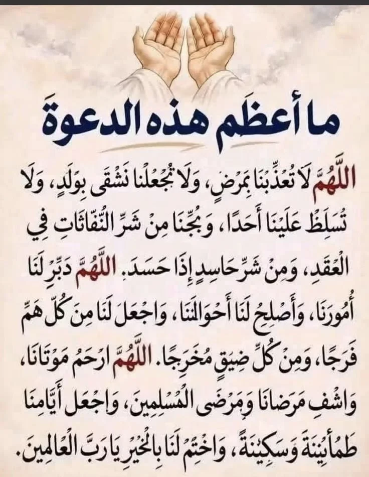 2feebd1f1e39e7b105d051efca998ec8.webp