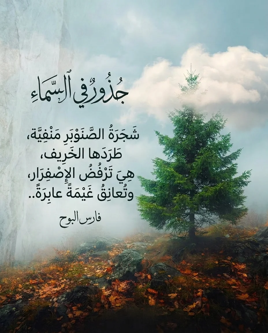 image_b560389e.webp