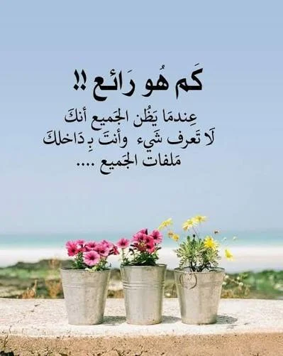 images (3).webp