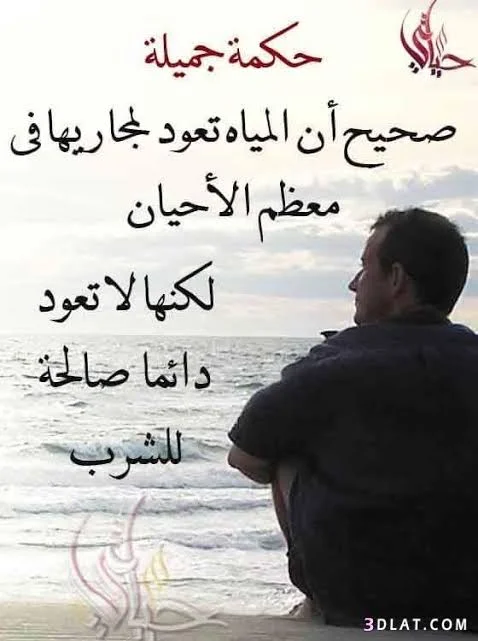 images.webp