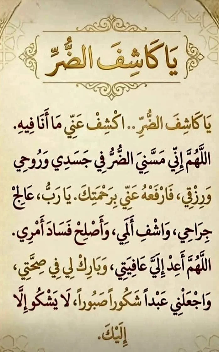 68403477e843915fb5292ccb82406a21.webp