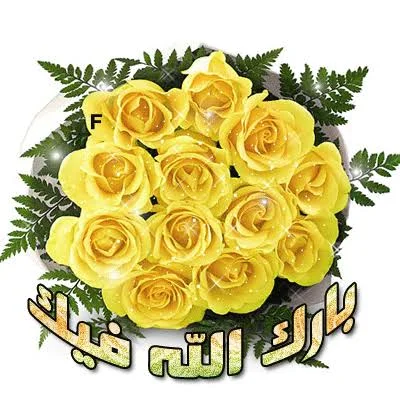 1792257739484.webp