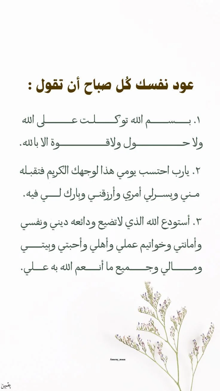 7881.webp