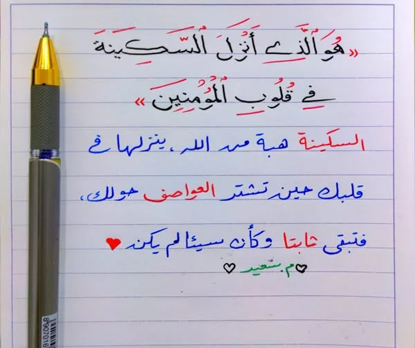 1792600769657.webp