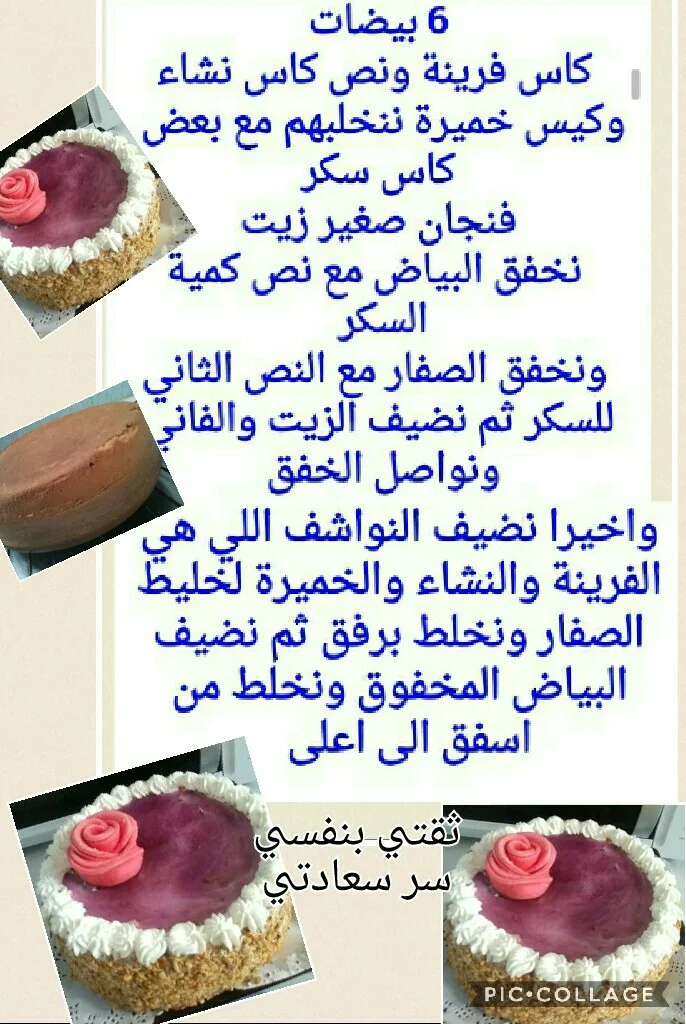 Collage 2017-01-05 21_57_52.webp